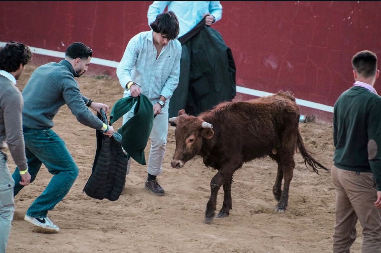 Capea universitaria - foto principal