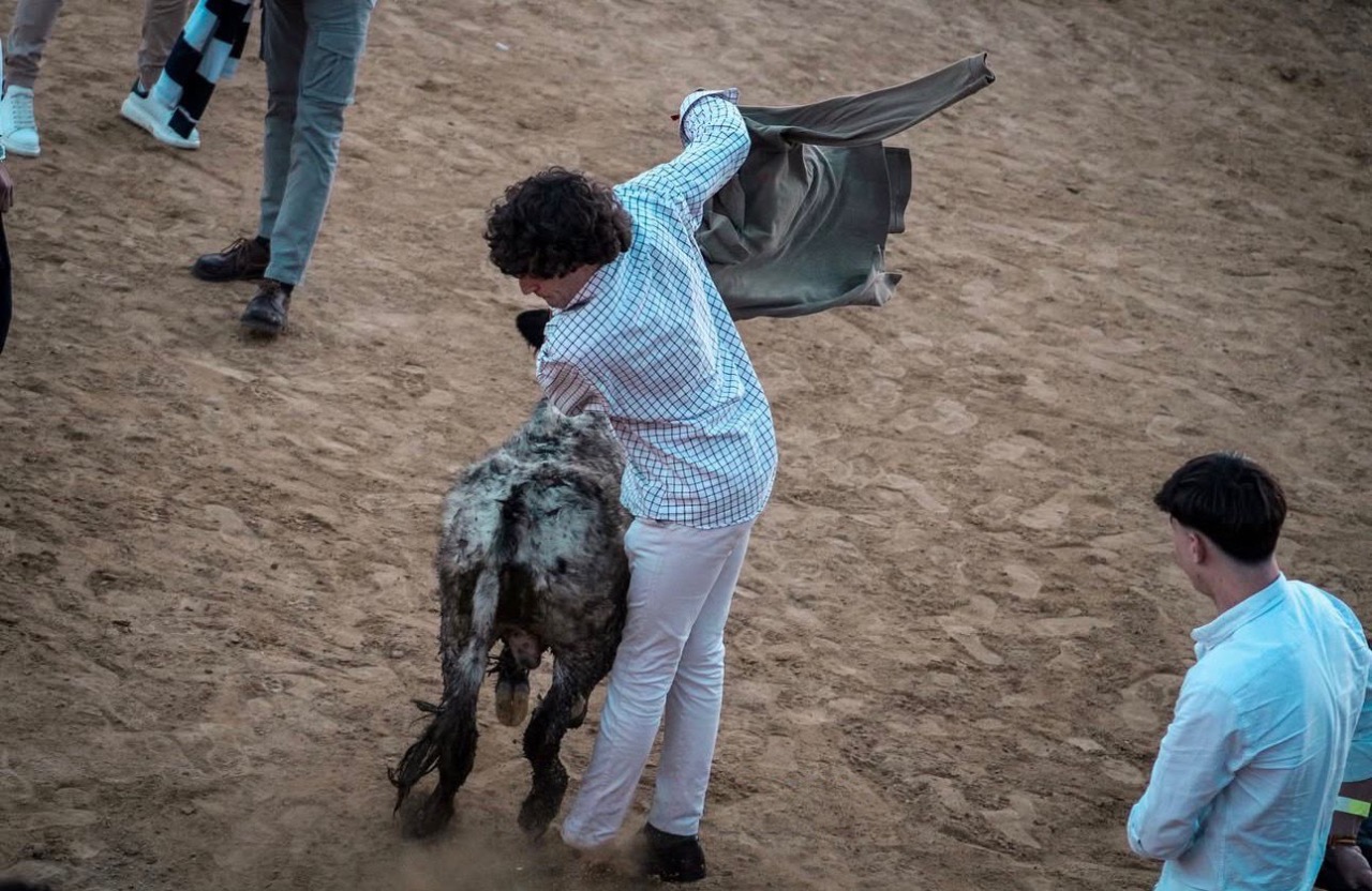 Capea universitaria - panorámica