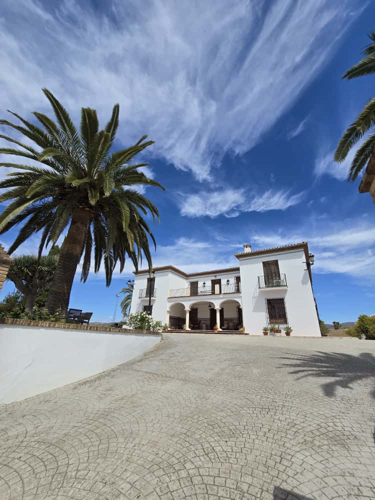 Espacio Premium Málaga 1 – MALAGA