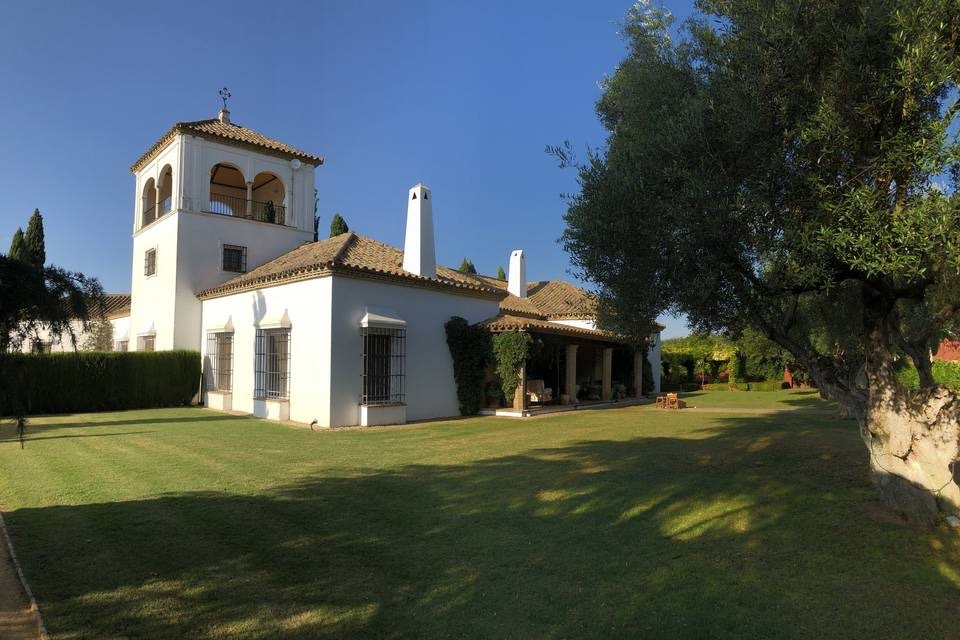 Espacio Premium Sevilla 2 – ANDALUCIA – foto 2